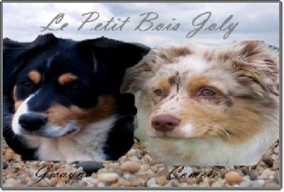 du petit bois joly